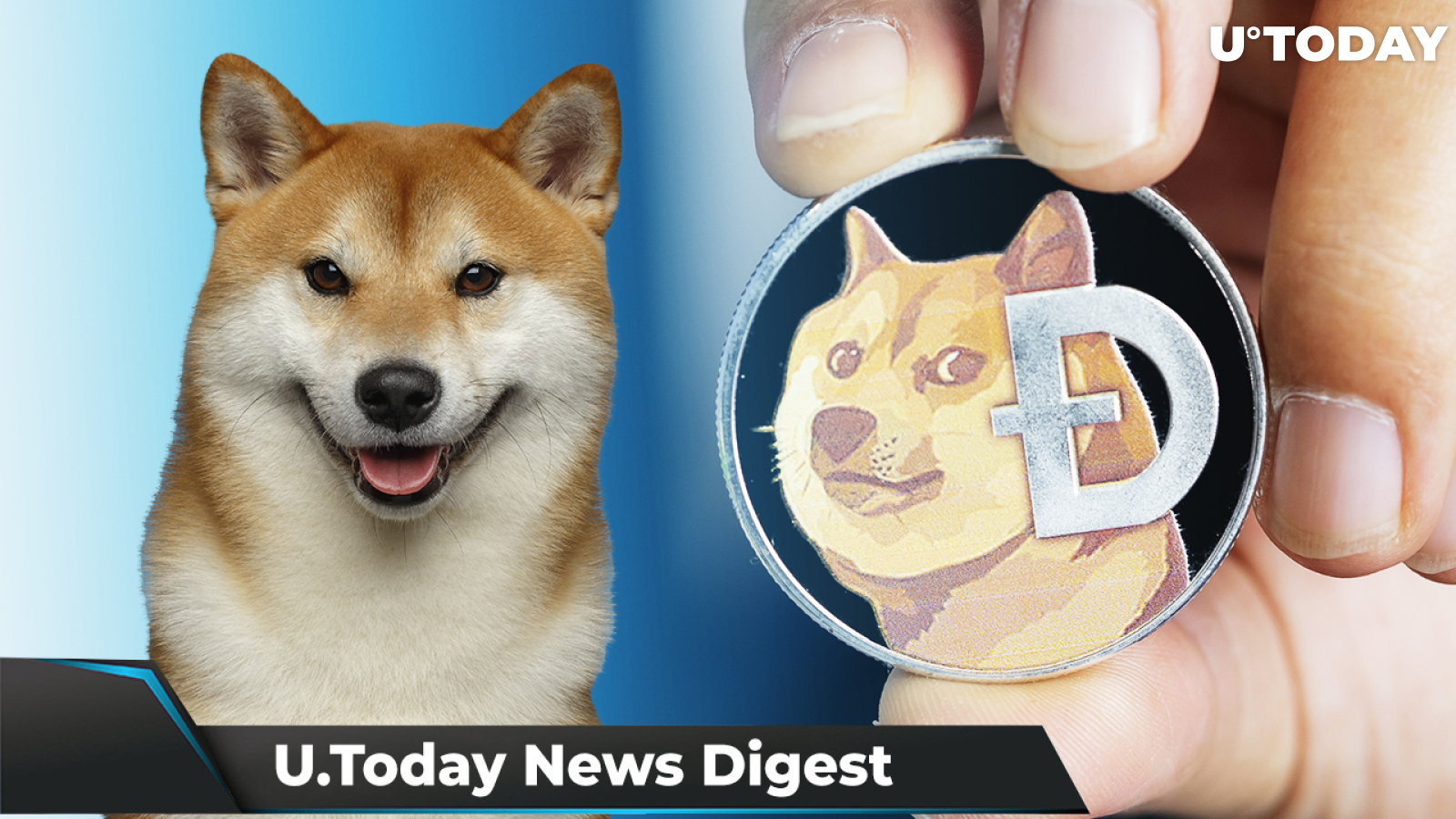 Elon Musk Pushes DOGE Price up Yet Again, Record 1.3 Billion SHIB Burned, XRP Case Timeline of Events Shared: Crypto News Digest by U.Today