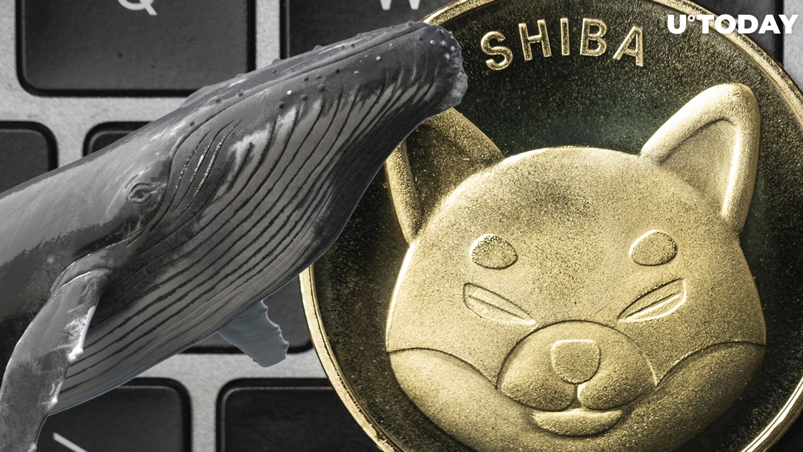 As Shiba Inu Rallies by 20%, Whale Purchases 775 Billion Tokens