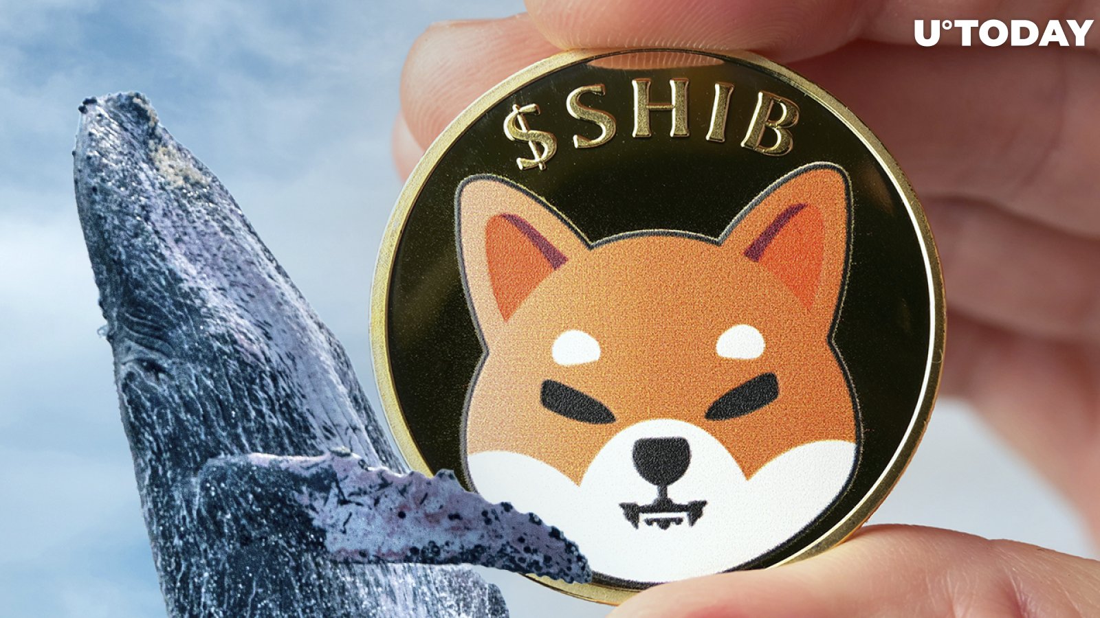 243.6 Billion SHIB Scooped Up by Whales as Token Recovers from Recent Fall