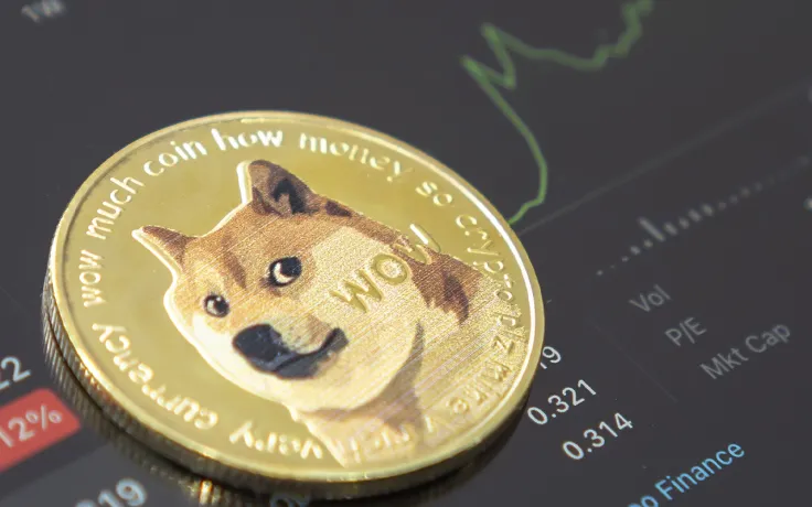Dogecoin's Profitability Reaches Close to 60% as Price Rises by 10%