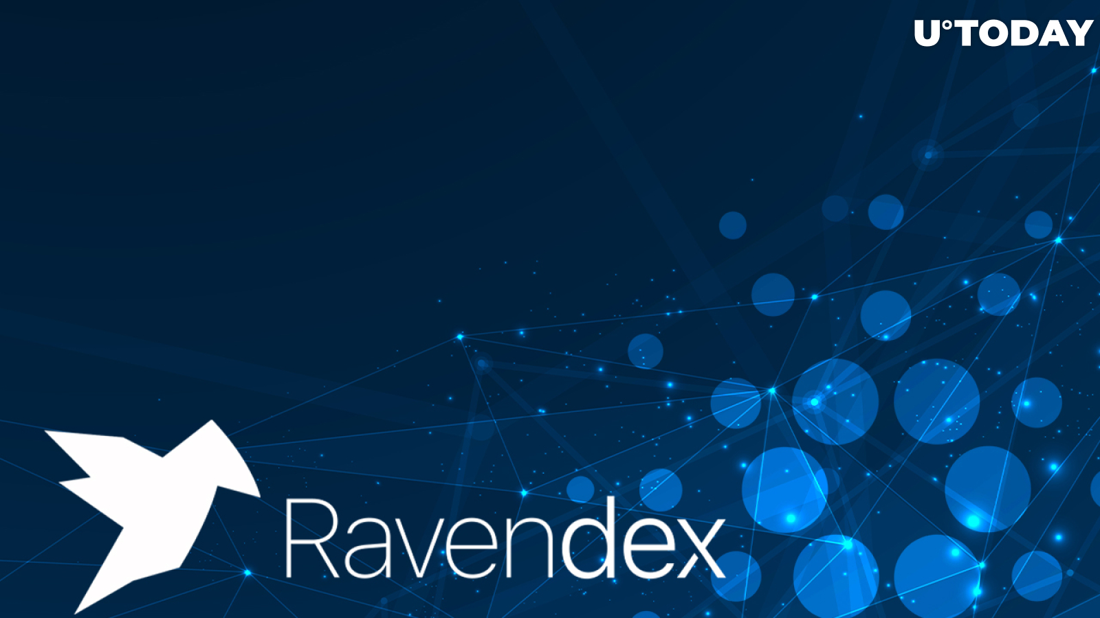 Ravendex Apologizes to Cardano Community, Here's Why