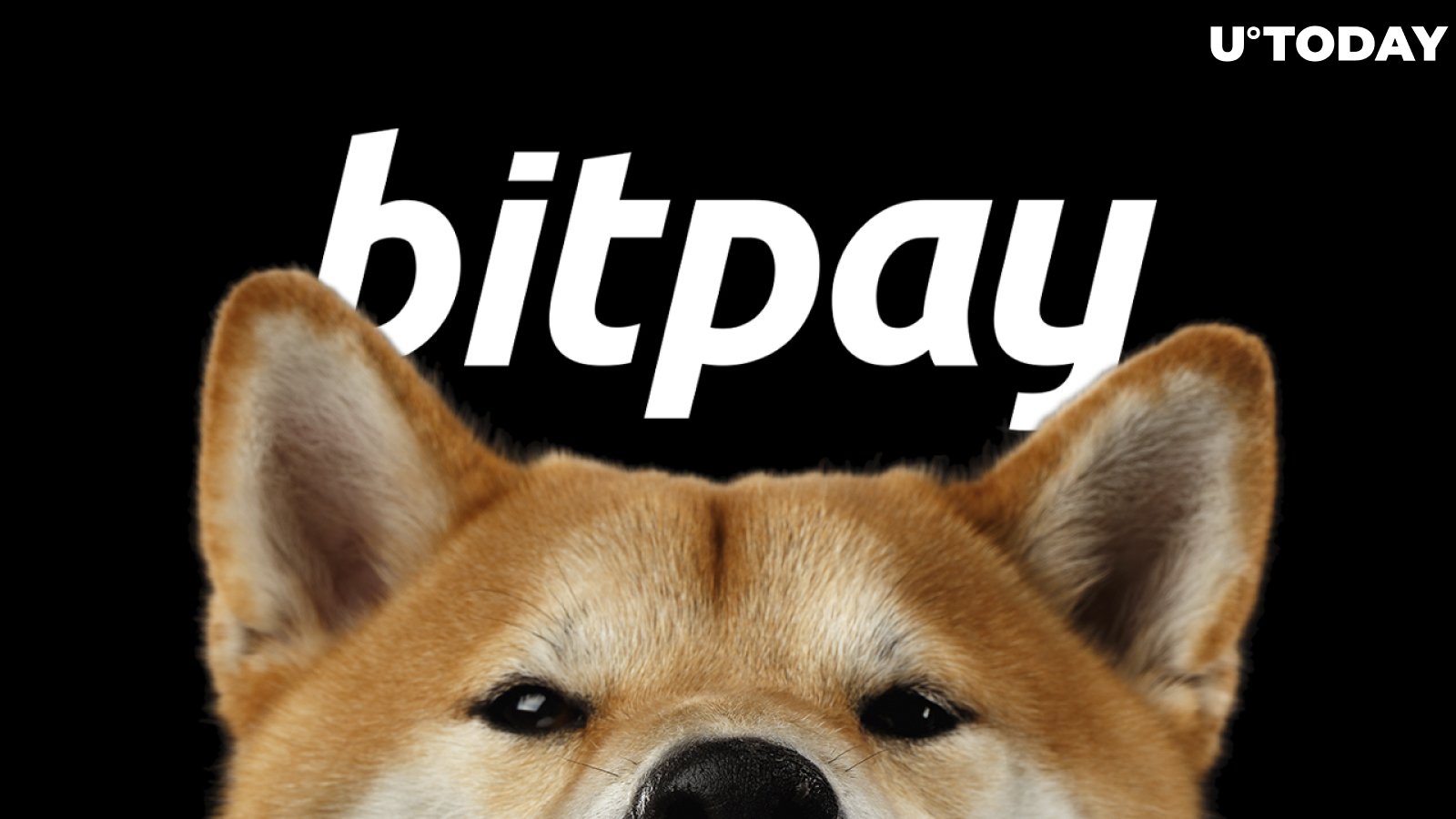 Shiba Inu Payments Expand to Millions of Users Globally as BitPay Adds Four New Partners