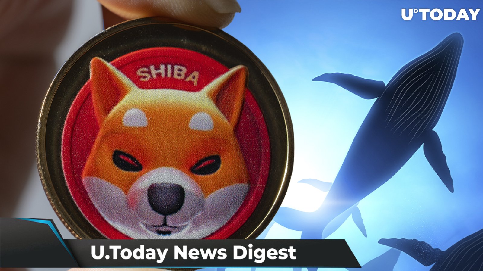 Here’s Why ETH Whales Buy SHIB, Cardano’s Arm Partners with Blockpass, James K. Filan Gives XRP Lawsuit Timelines: Crypto News Digest by U.Today