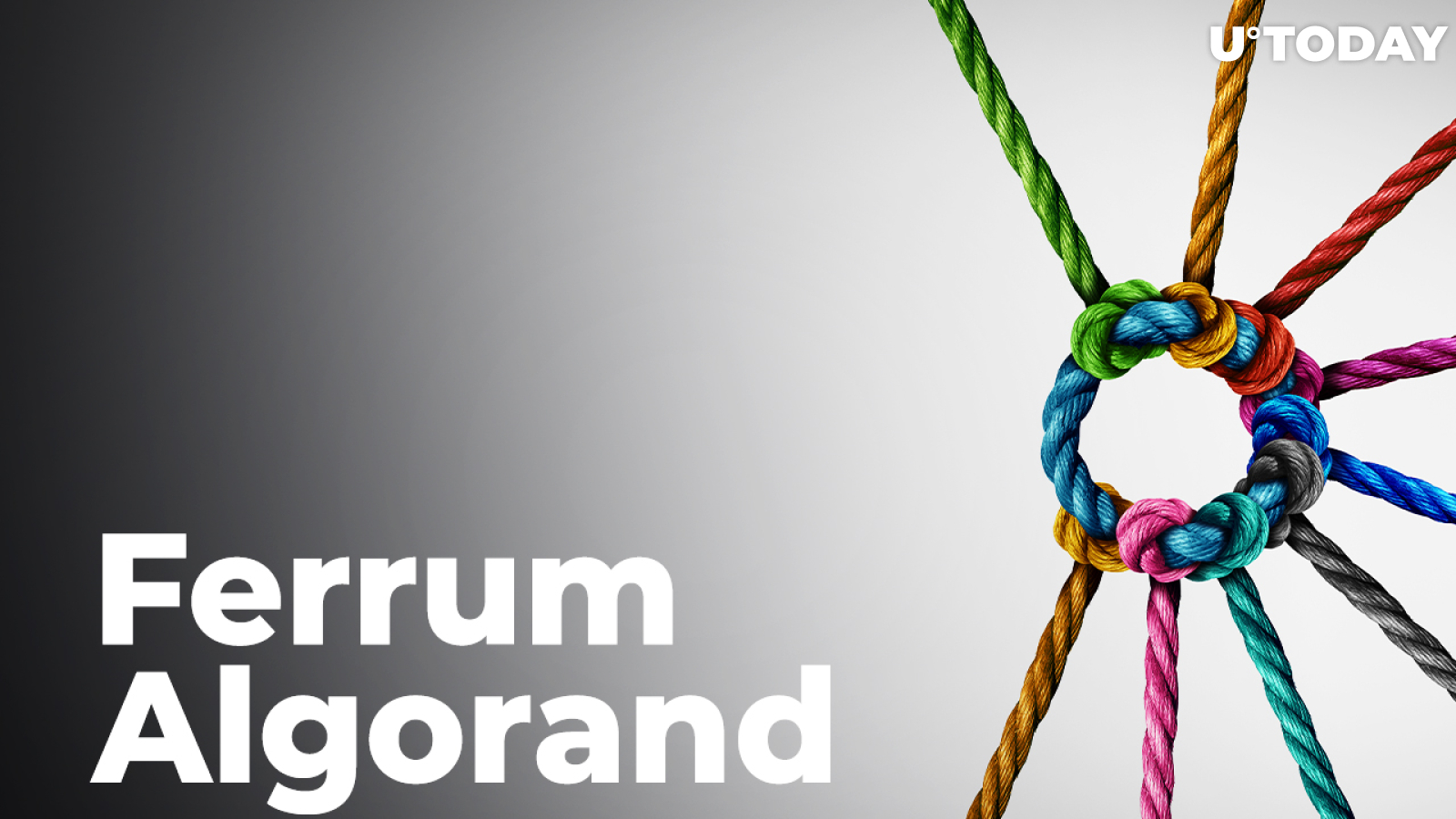 Ferrum Network Interoperability Platform Integrates with Algorand (ALGO)