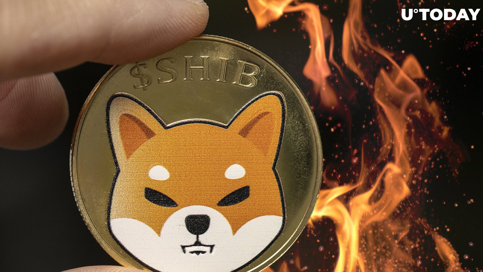 SHIB Army Burns 1.6 Billion Shiba Within 24+ Hours as Coin Loses 3%