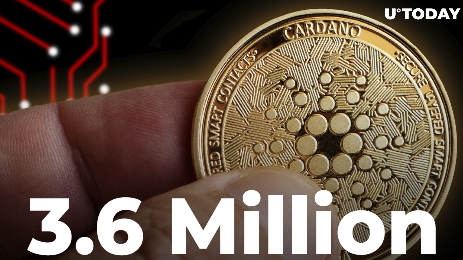 Cardano's Number of Holders Exceeds 3.6 Million as ADA Reaches Year's Bottom