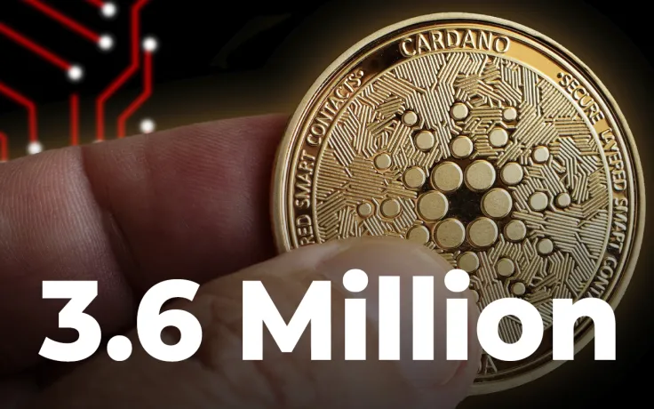 Cardano's Number of Holders Exceeds 3.6 Million as ADA Reaches Year's Bottom
