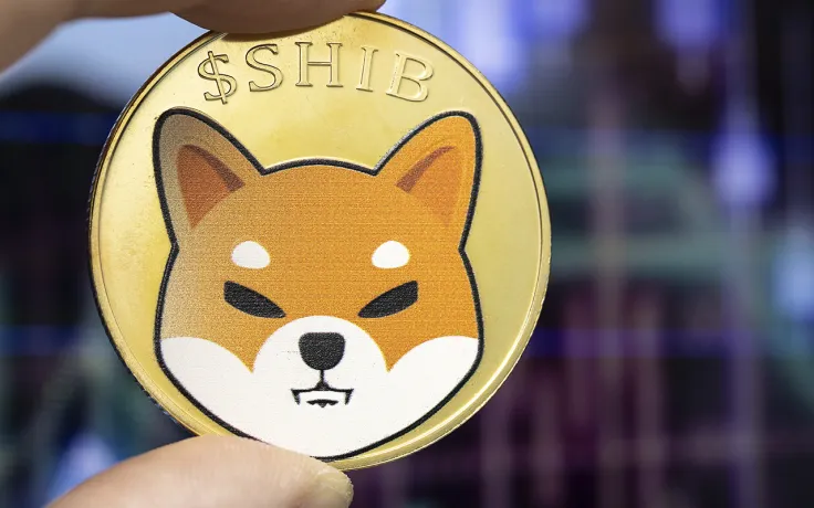 Shiba Inu Disappears from Top 3 of Biggest Whale Holdings: Details