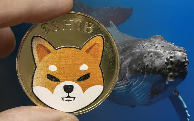 Whales Holding 1.19 Trillion SHIB Buy Trendy Coins, But This Investor Sticks to Shiba