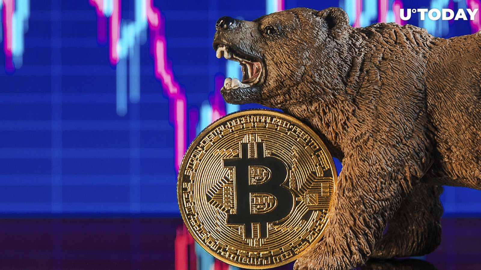 Crypto Execs Think Bear Market Is Good for Industry 