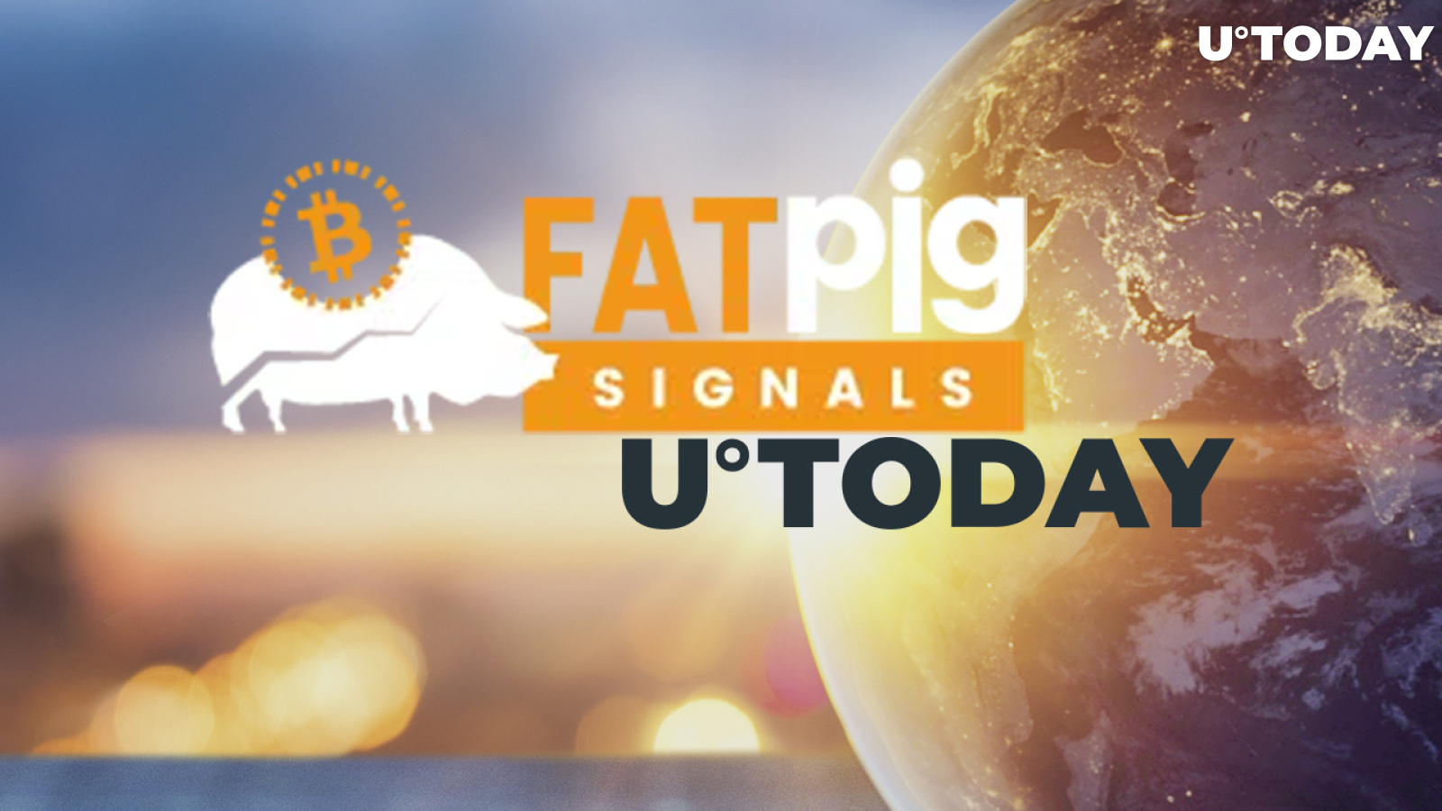 Fat Pig Signals Service Starts Broadcasting U.Today Content in Newsfeed