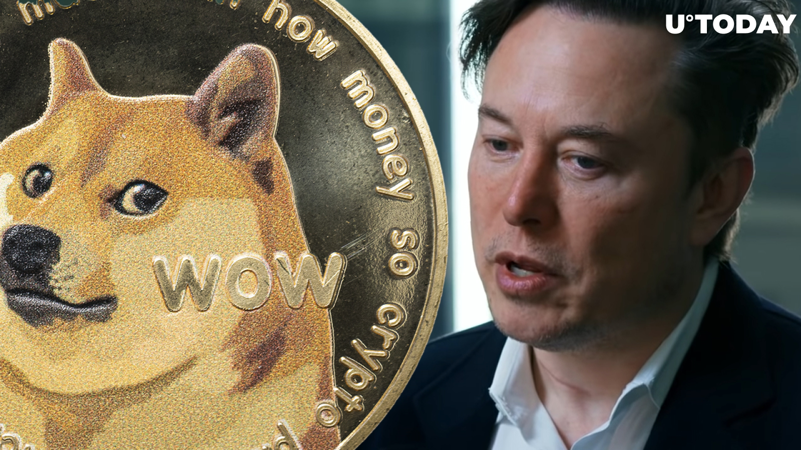 Elon Musk Believes Dogecoin Could Solve Twitter's Spam Bot Problem