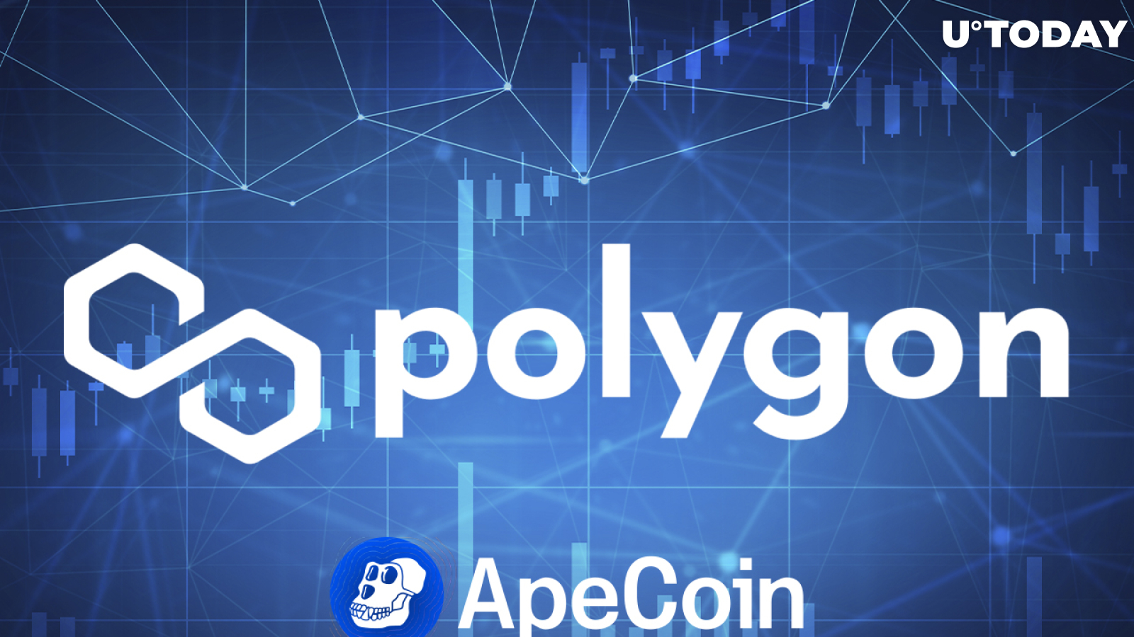 Polygon Now Supports ApeCoin with access to 19,000 dApps