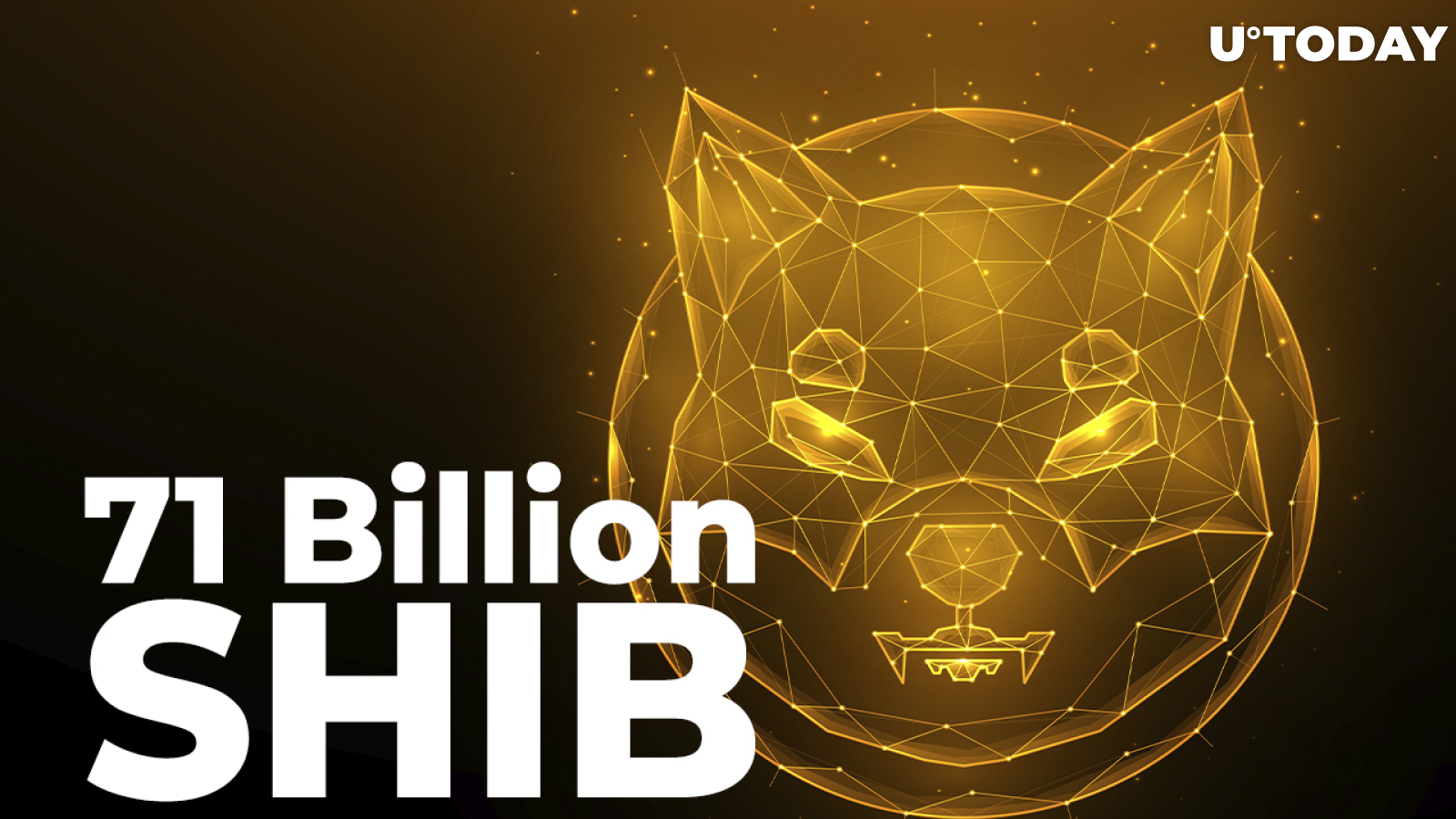 71 Billion SHIB Added by Major Investor as SHIB Returns as Whales' Biggest Holding