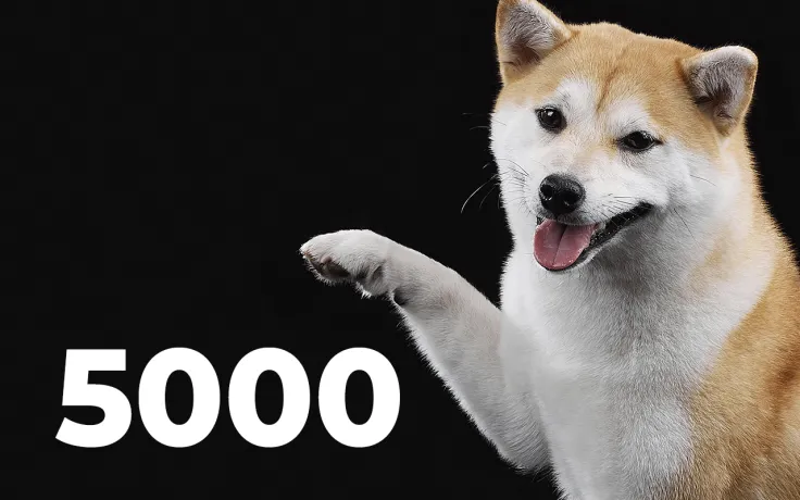 Shiba Inu Gains Thousands of New Holders in Days as Total Number of Landowners Rises Above 5,000
