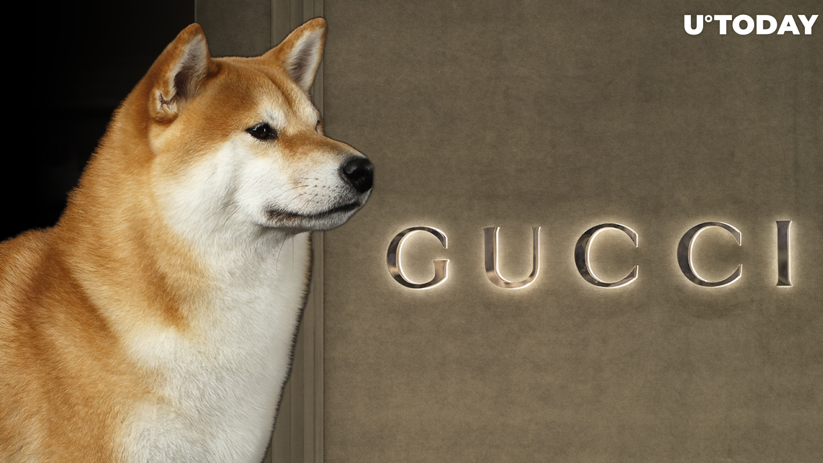 Shiba Inu and Dogecoin Now Accepted by Gucci