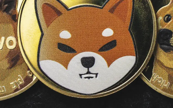 "SHIB Has a Great Model," David Gokhshtein Believes Next 12 Months Might Be Key for Shiba Inu
