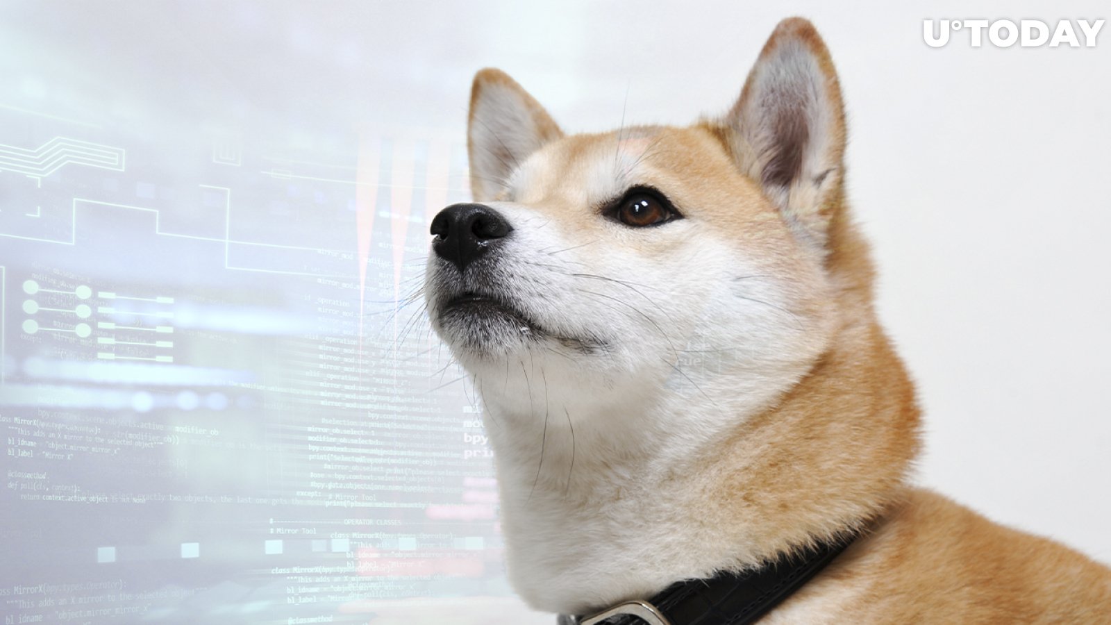 SHIB Price Hints at Incoming Volatility, Holders Increase by Nearly 20,000