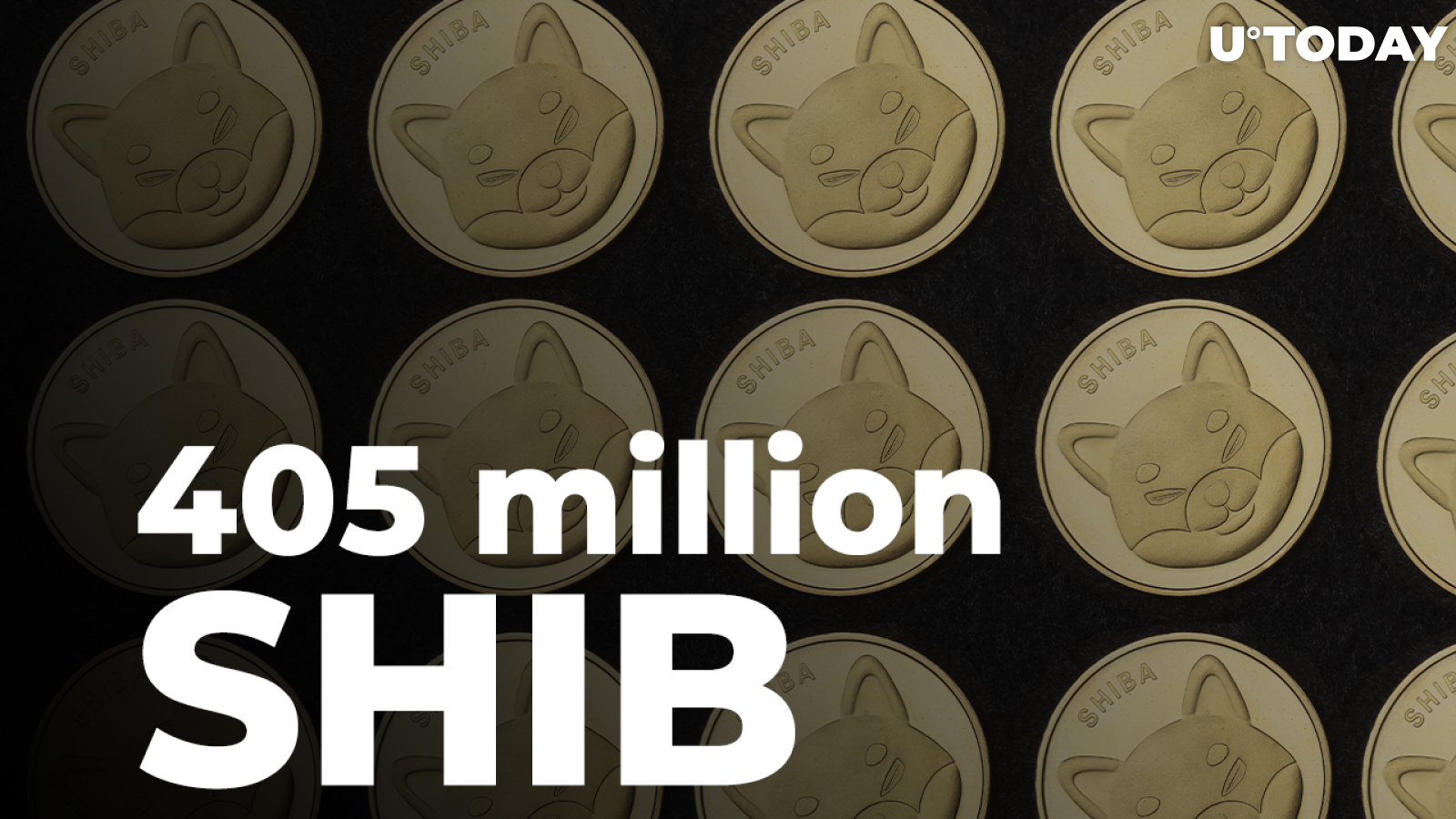 SHIB Army Removes 405 Million Shiba Inu Over Last 24 Hours: Report