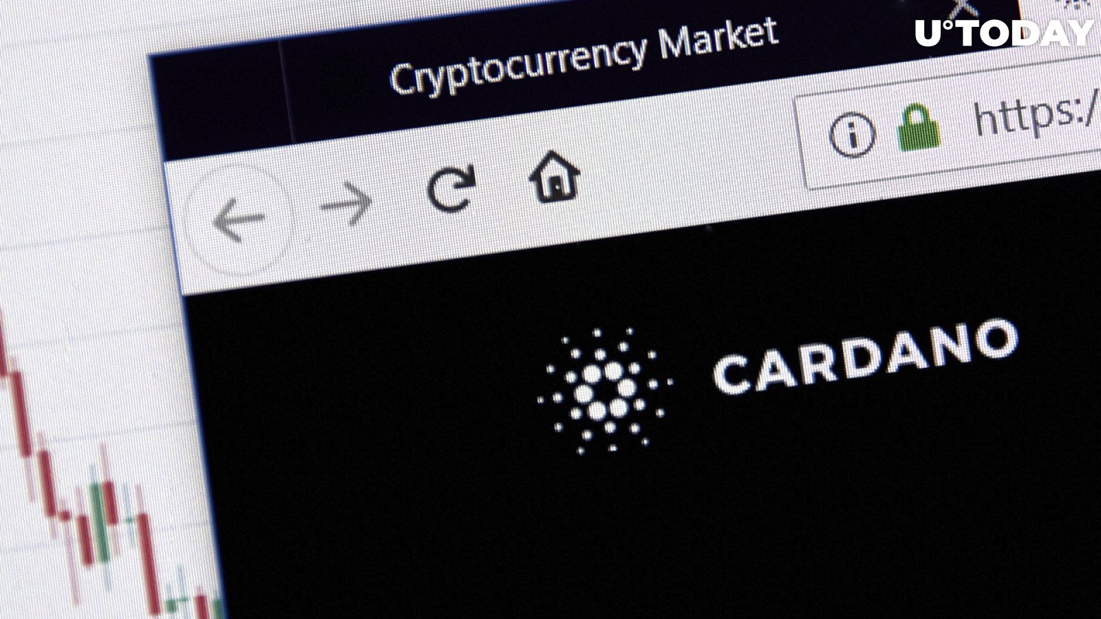 Cardano Reports Massive Spike in Number of Plutus Scripts on Network