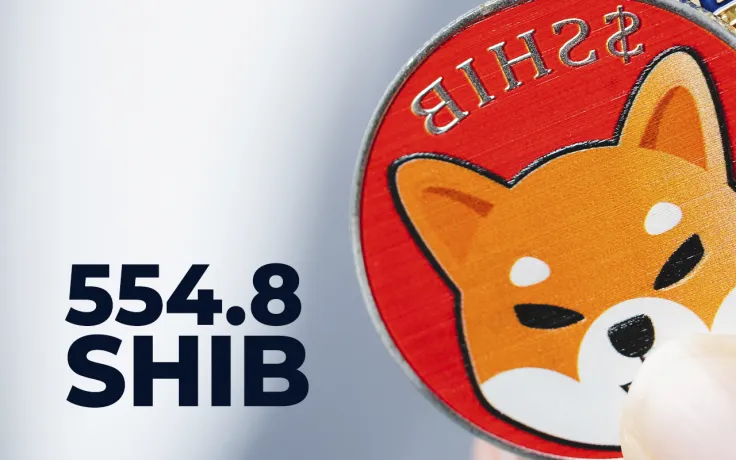 554.8 SHIB Burned in Past 48 Hours, 962 Million Over Weekend
