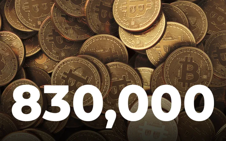 Bitcoin Addresses with 1 BTC Surpass 830,000 as Number of Retail Investors Grows