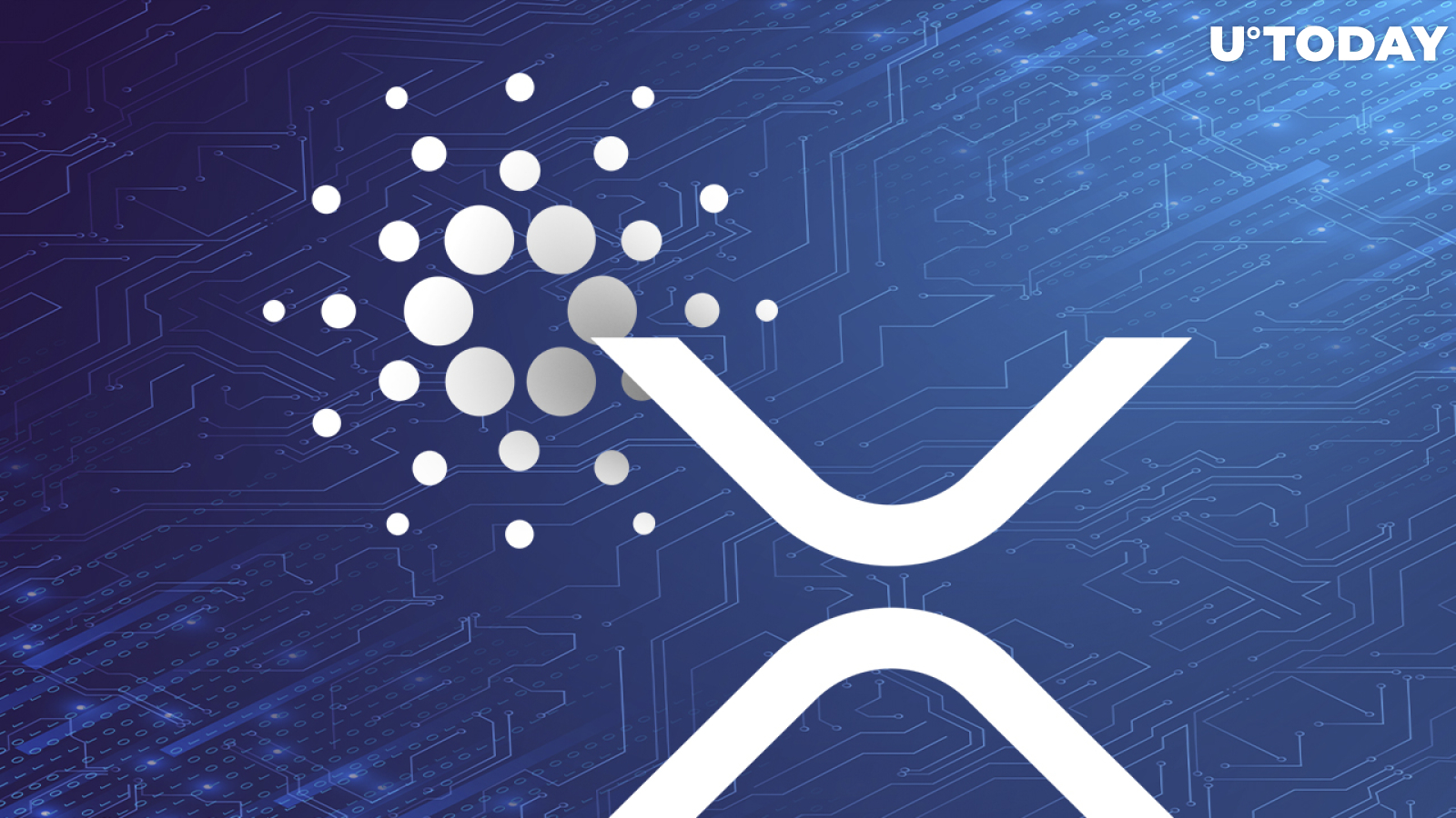 Cardano and XRP Beat Coinbase's Whole Market Capitalization Following Earnings Report