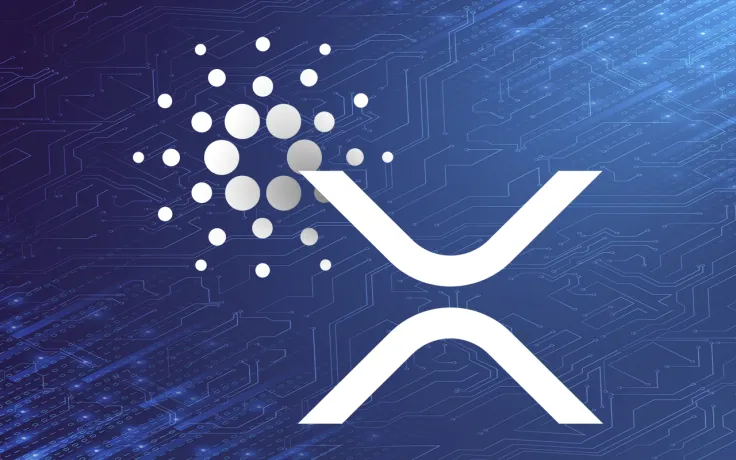 Cardano and XRP Beat Coinbase's Whole Market Capitalization Following Earnings Report