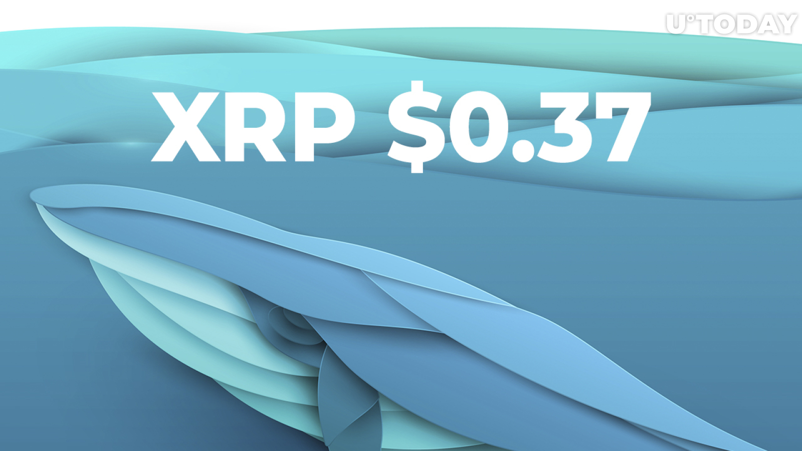 XRP Declines to $0.37 as Whales Move 440.3 Million Tokens