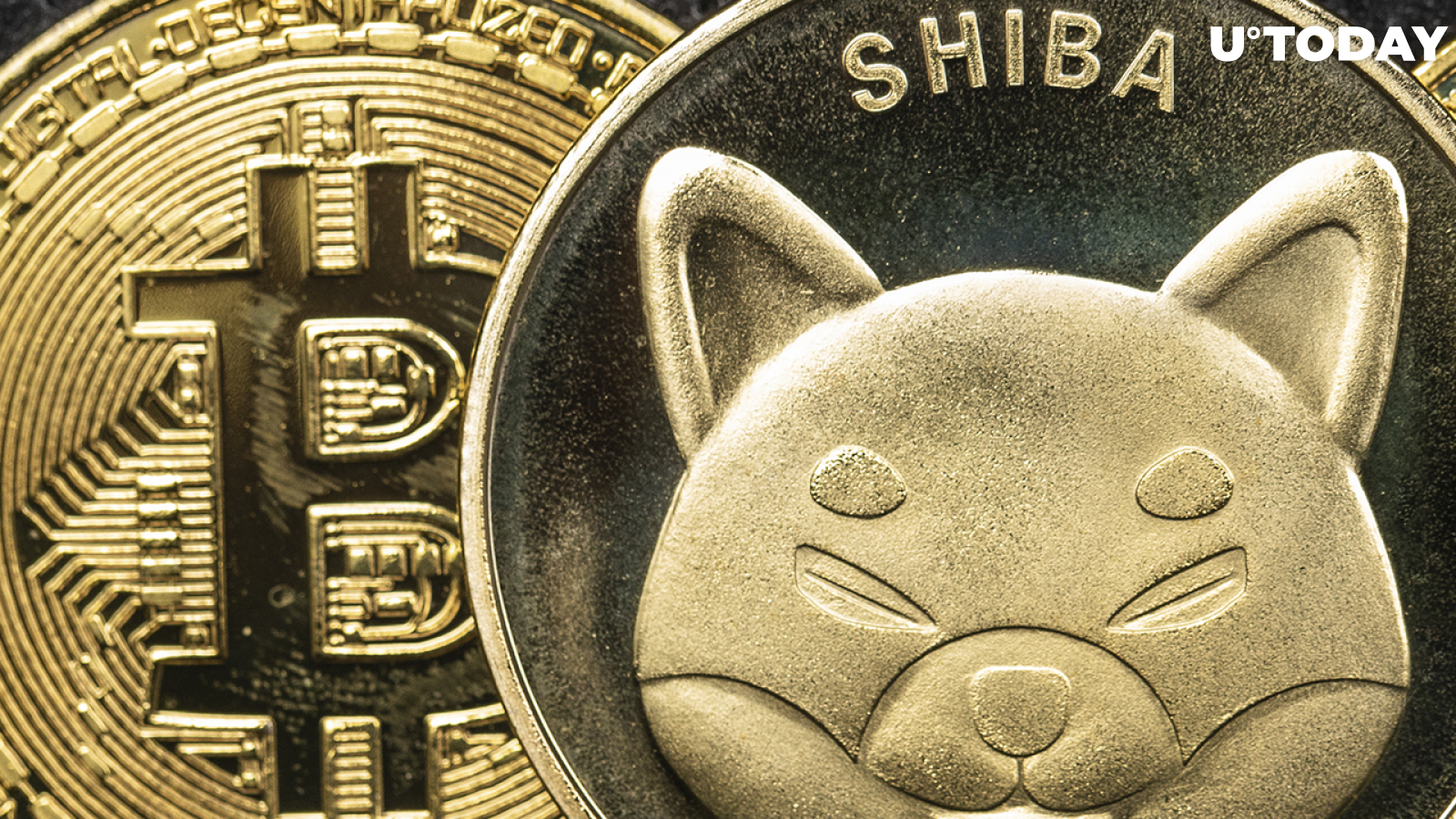 Shiba Inu, Bitcoin Now Accepted as Payment by Minnesota-Based Jewelry Shop via BitPay
