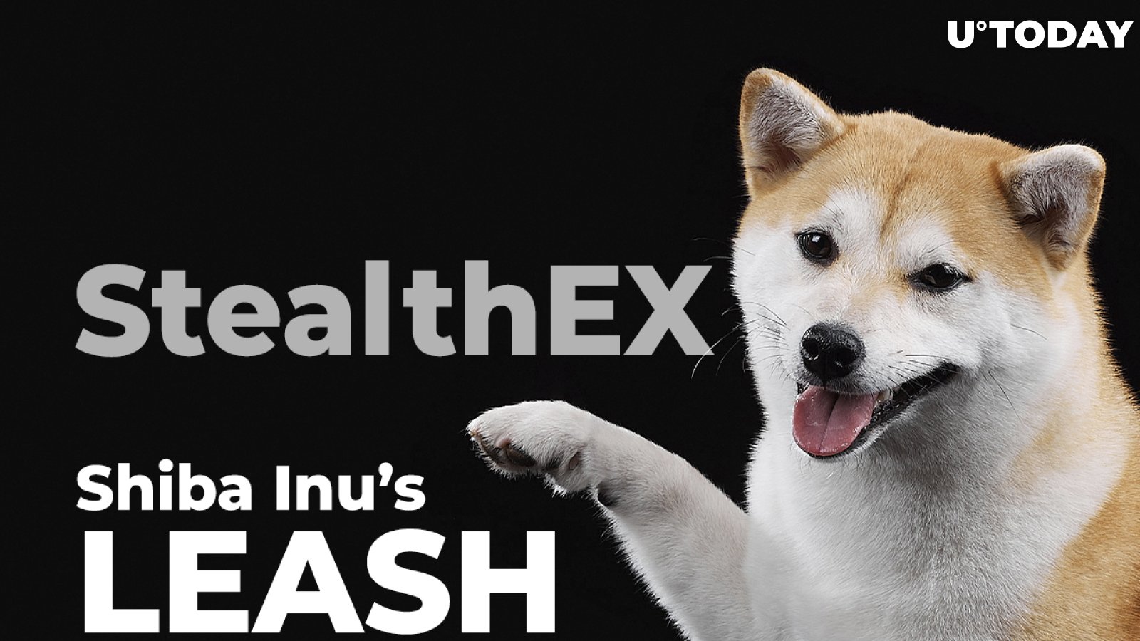 Shiba Inu's LEASH Debuts on StealthEX, Enabling Swapping with More Than 400 Crypto Assets