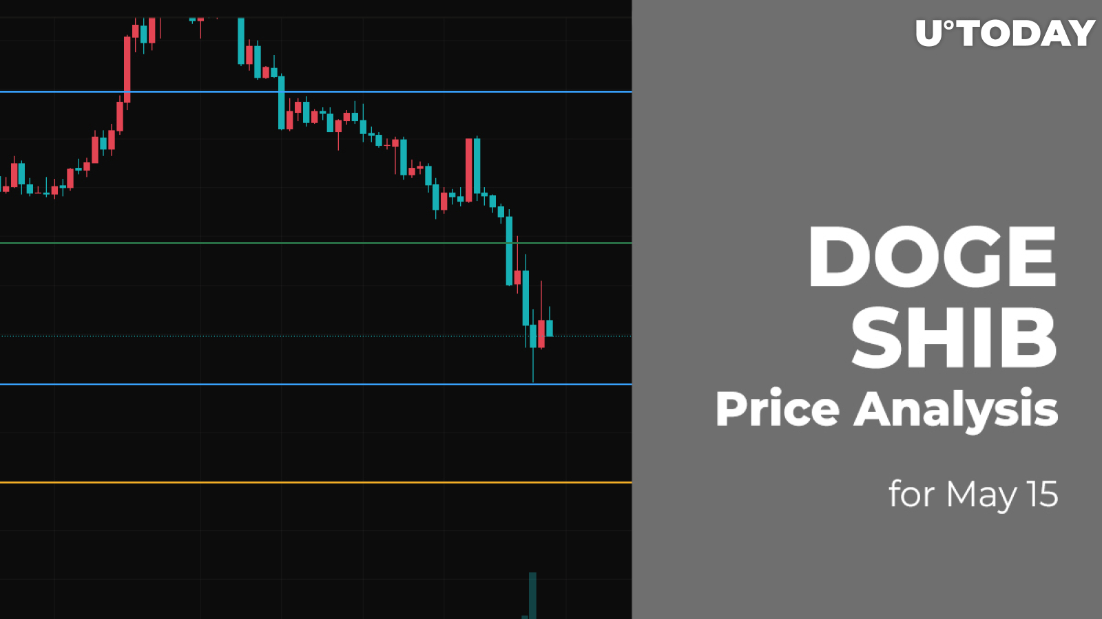 DOGE and SHIB Price Analysis for May 15