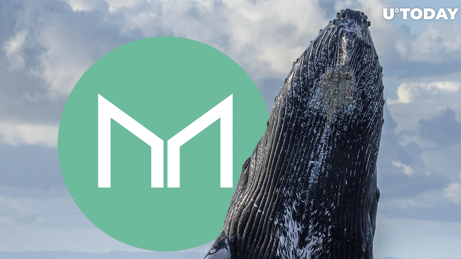 Maker (MKR) Faces 21% Spike in Whale Activity: Details