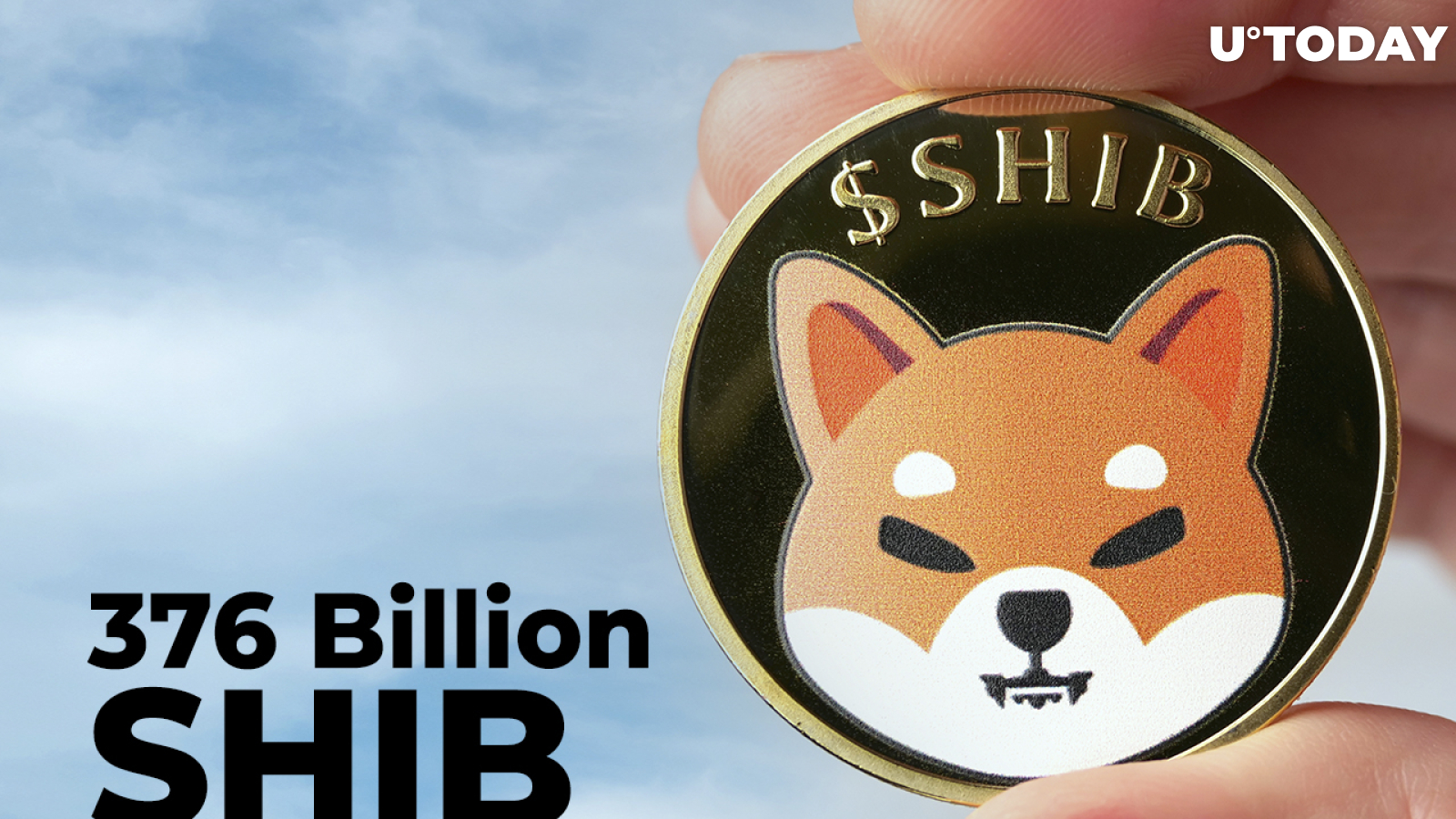 376 Billion SHIB Bought by Whale as Shiba Is Back on Top 10 Most-Traded Tokens List