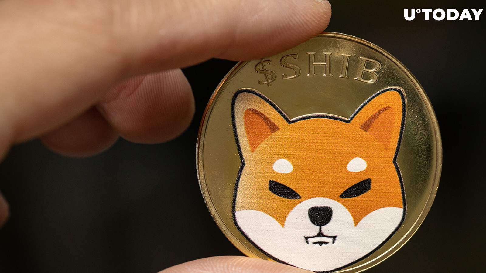 Shiba Inu Faces Spike in Purchases After Reaching Fundamental Support