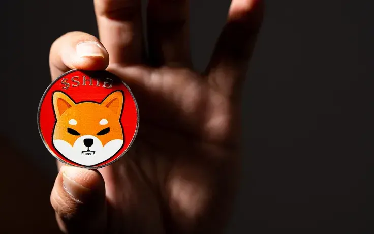 Half Billion SHIB Burnt by Shiba Community: Report