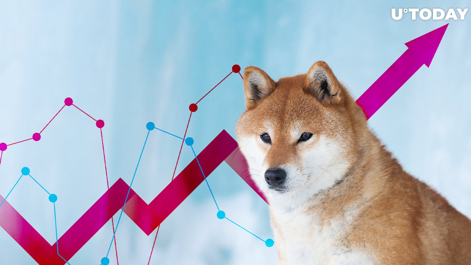 Shiba Inu Rises 10% as Price Rebounds from Key Support