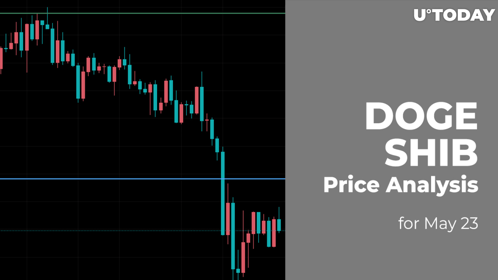 DOGE and SHIB Price Analysis for May 23