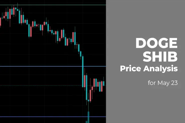 DOGE and SHIB Price Analysis for May 23