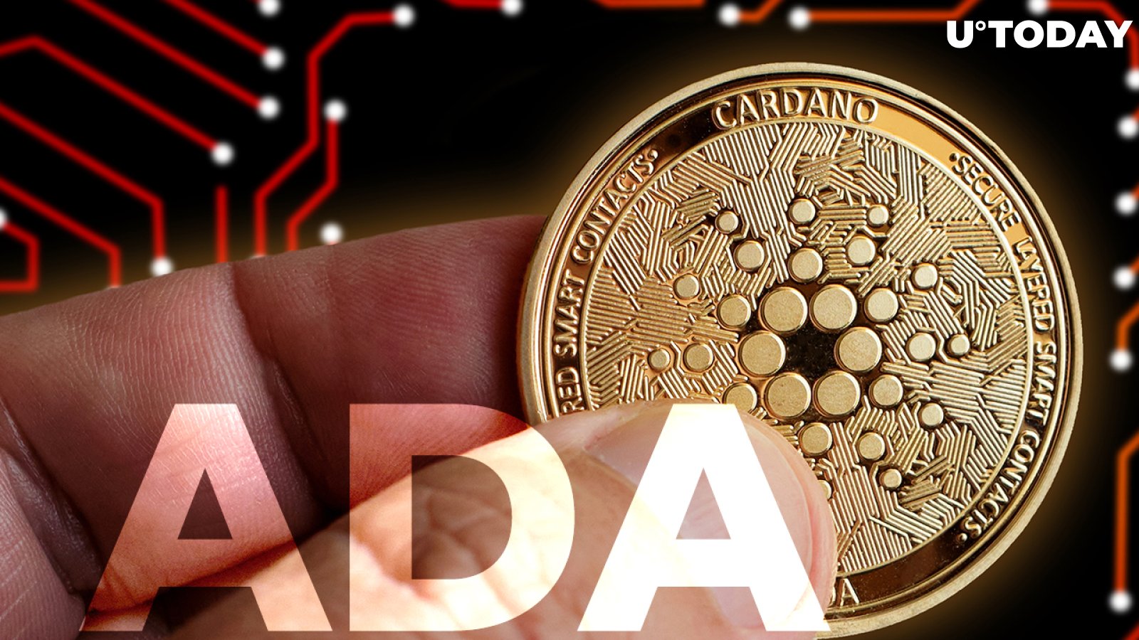 "Where Did the ADA Go?" Cardano's Founder Reacts to User's Allegation of Loss Worth Over 7,000 Euros