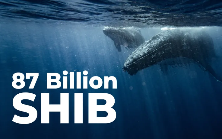 Whale Buys 87 Billion SHIB, While Shiba Balance of Top Investors Shrinks