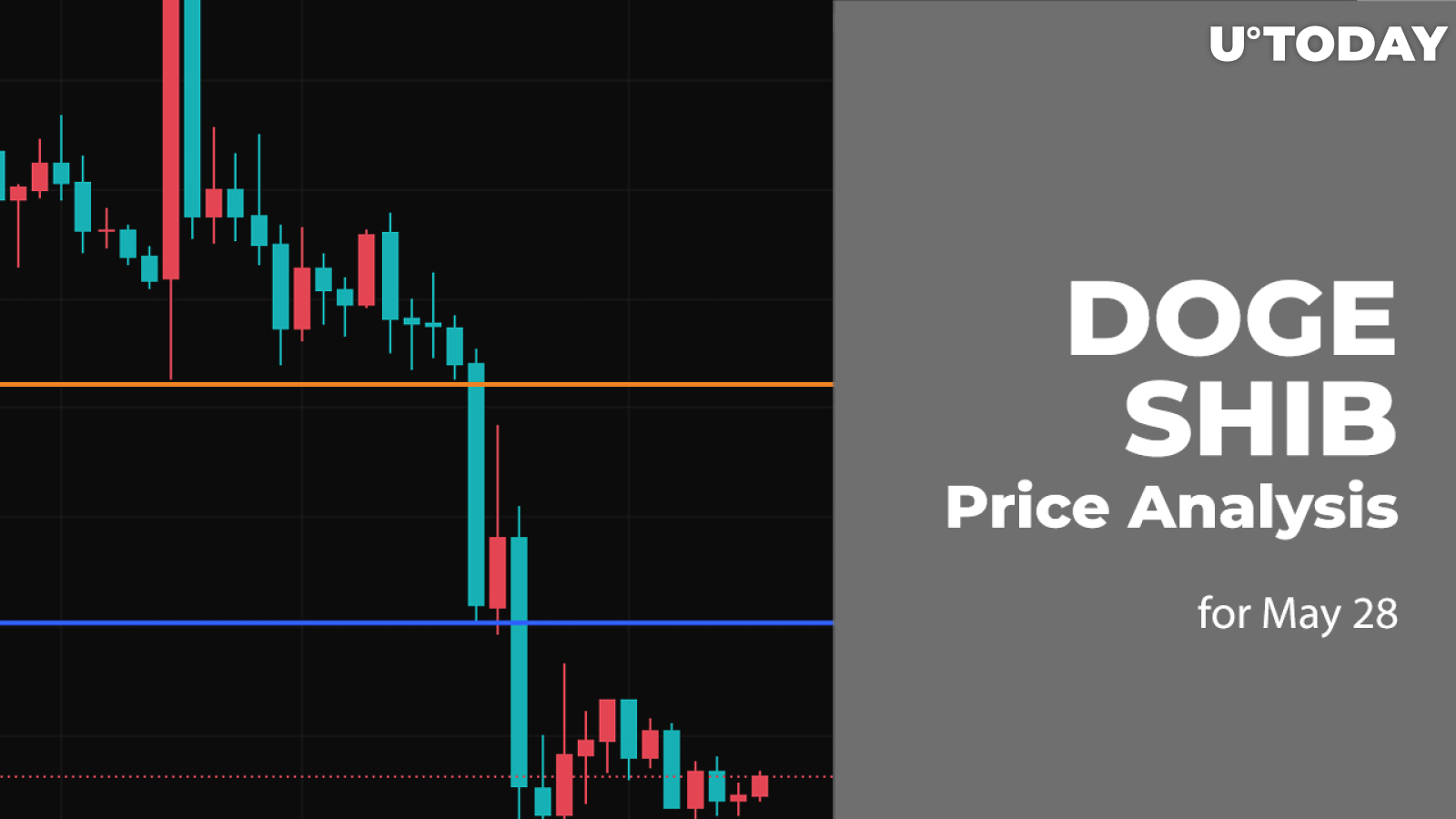DOGE and SHIB Price Analysis for May 28
