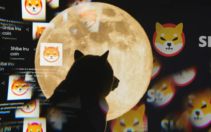 Shiba Inu Whale's Trading Volume Spikes 341% with Over 33,000 New SHIB Holders in May