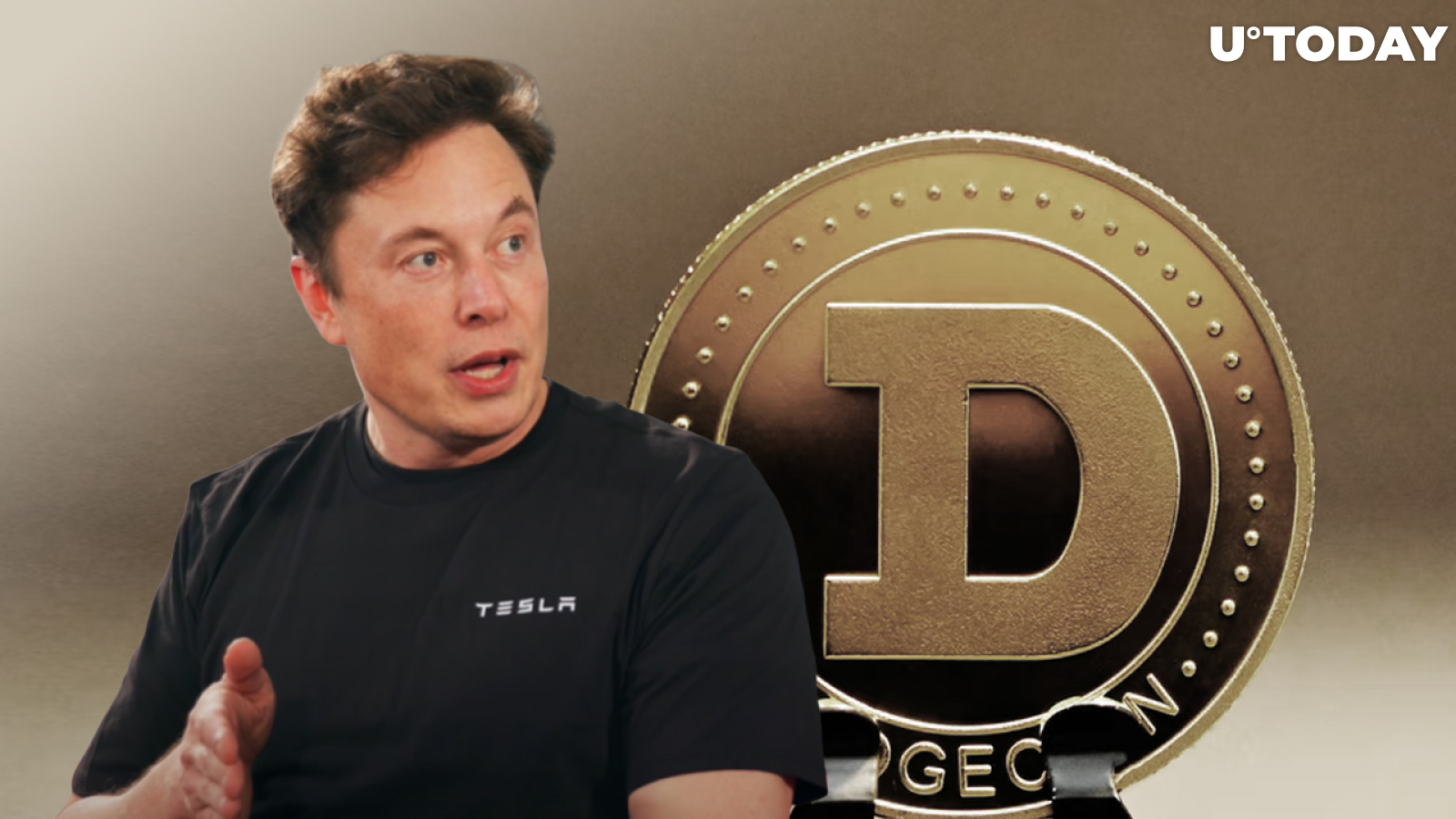 Elon Musk Slams Dogecoin Creator Over Claims of Twitter Bot Solution