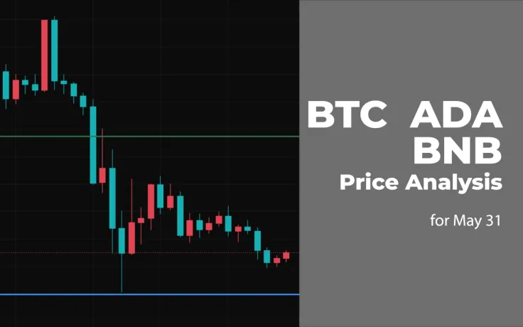 BTC, ADA and BNB Price Analysis for May 31