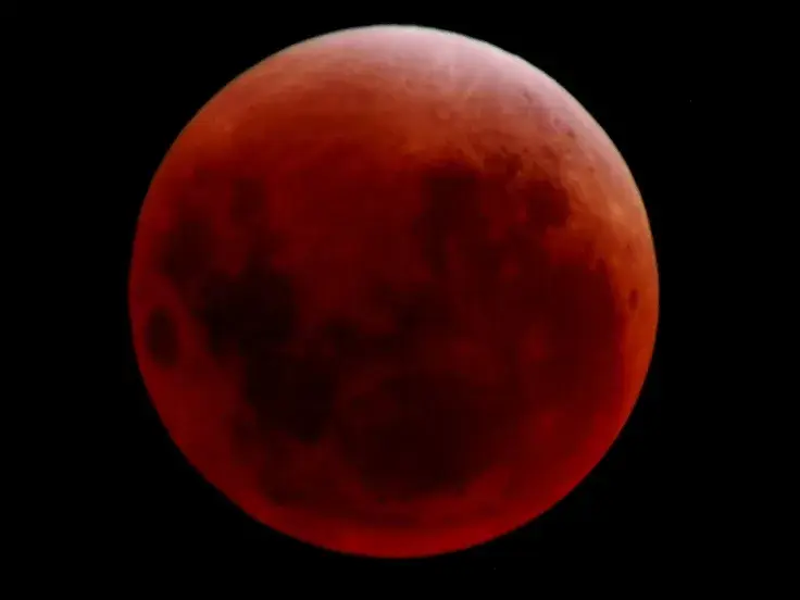 Luna ETP Comes Close to Setting Major Record 