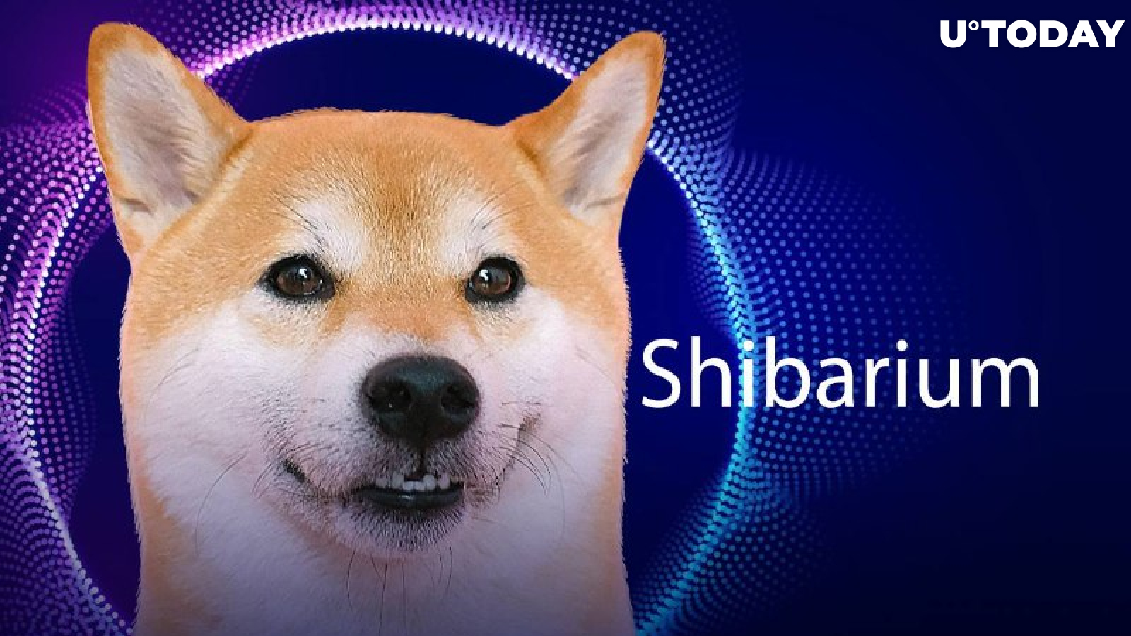 Shiba Inu Major Developer Hints at Shibarium Release