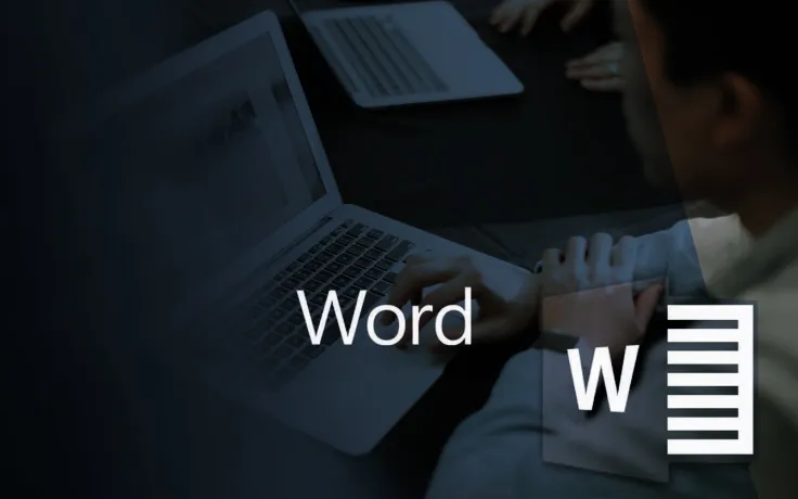 Using MS Word? Your Cryptocurrency Holdings Are in Danger, Here's How to Avoid It