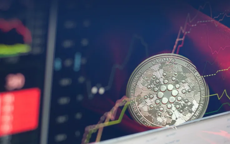 Cardano's On-Chain Data Shows Network Growth, With Average Monthly Transactions up 8%