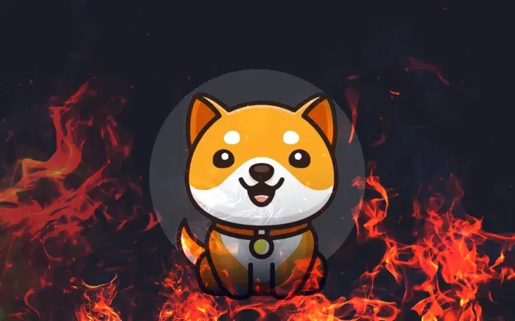 BabyDoge Community Plans to Burn 50 Quadrillion Tokens with 6 Quadrillion Already Burned in Just 2 Days